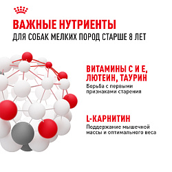 Royal Canin (Роял Канин) Mini Adult 8+ Корм сухой для собак мелких пород старше 8 лет 2 кг