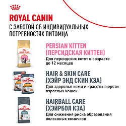 Royal Canin (Роял Канин) Persian Корм сухой для взрослых кошек породы Персиан от 12 месяцев 2 кг