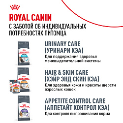 Royal Canin (Роял Канин) Bengal Корм сухой для взрослых кошек породы Бенгал от 12 месяцев 2 кг