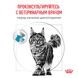 Royal Canin (Роял Канин) Скин & Коат для кошек для поддержания защитных функций кожи 400 г 