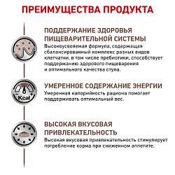 Royal Canin (Роял Канин) Гастро интестинал Модерат Калор Фелин 350 г