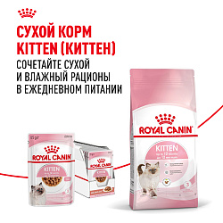 Royal Canin (Роял Канин) Kitten корм влажный  для котят в возрасте до 12 месяцев в соусе 85 г