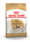 Royal Canin (Роял Канин) сухой корм для взрослых собак породы мопс, 1,5 кг