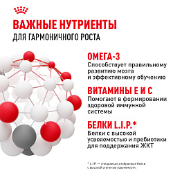Royal Canin (Роял Канин) Медиум Паппи Корм сухой для щенков средних размеров до 12 месяцев 3кг