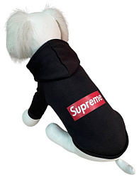Толстовка "SP", черный, XXL / Pet Feshion