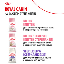 Royal Canin (Роял Канин) Kitten (Киттен) корм влажный для котят до 12 месяцев кусочки в желе 85 г 