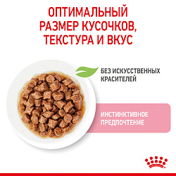 Royal Canin (Роял Канин) Kitten консервированный корм для котят в возрасте до 12 месяцев в соусе 24х0,085кг