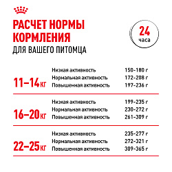 Royal Canin (Роял Канин) Medium Adult Корм сухой для взрослых собак средних размеров 15 кг