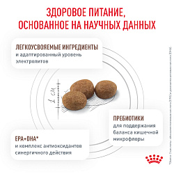 Royal Canin (Роял Канин) Гастроинтестинал Лоу Фэт Корм сухой для собак мелких пород 1 кг