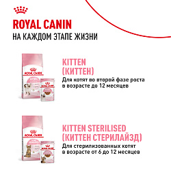 Royal Canin (Роял Канин) Мазер энд Бэбикет корм для котят в период первой фазы роста и отъема, 2 кг