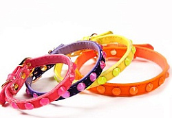 FOR MY DOG Ошейник желтый 1,0*21 см FMDN13048-15