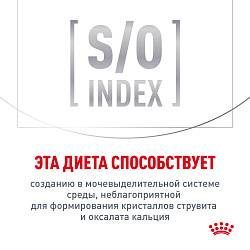 Royal Canin (Роял Канин) Gastrointestinal (Гастроинтестинал) Корм сухой для взрослых кошек 2 кг