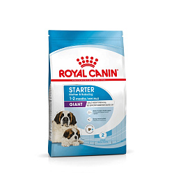 Royal Canin (Роял Канин) Джайнт Стартер Корм сухой для щенков очень крупных размеров до 2 мес 4 кг