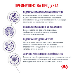 Royal Canin (Роял Канин) Ньютрид Корм сухой для взрослых кастрированных собак мелких пород 3,5 кг