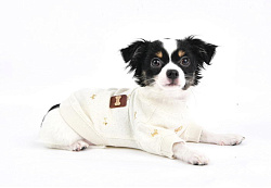 PUPPIA Футболка для собак "Gia", слоновая кость, M, 24см (Южная Корея)