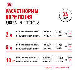 Royal Canin (Роял Канин) Мини Эдалт Корм сухой для собак мелких размеров от 10 месяцев, 2 кг