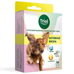 Мультивитаминное лакомство для собак "Активная жизнь", 33г, Triol
