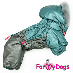 FOR MY DOG Комбинезон зеленый/графит металлик  д/мальчиков  (12) FW916-2020 М