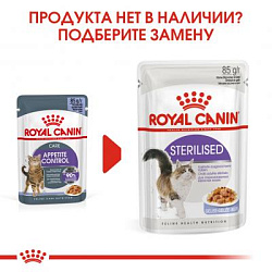 Royal Canin (Роял Канин)Аппетайт Контрол кэа фелин (желе) 0,085 кг