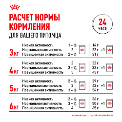 Royal Canin (Роял Канин) Эйджинг 12+ корм влажный для стареющих кошек от 12 лет в соусе 85 г