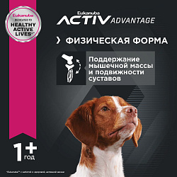 Eukanuba Adult Medium Breed 1+ years Корм сухой для взрослых собак средних пород от года и старше, 3 кг