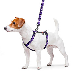 Шлея WAUDOG Nylon с QR-паспортом "Фиолетовый камо", пл. фастекс, М Ш 20 мм А 40-80 5530