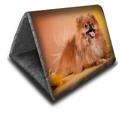 ДОМ ДИЗАЙН ШАЛАШ+ЛЕЖАК "2в1" 46*36*36 Rich Breed ДМД-4 Шпиц