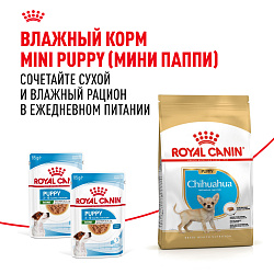 Royal Canin (Роял Канин) Корм сухой для щенков породы Чихуахуа паппи 1,5 кг