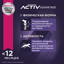 Eukanuba Паппи Смол Брид д/щенков мелких пород 800 г
