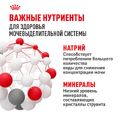 Royal Canin (Роял Канин) Urinary Care Корм влажный для кошек для мочевыделительной системы 85 г