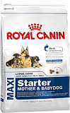 Royal Canin (Роял Канин) Макси Стартер сухой корм для щенков до 2х месяцев и беременных собак 4 кг