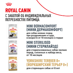Royal Canin (Роял Канин) Корм сухой для взрослых собак породы Йоркширский Терьер от 10 месяцев, 3 кг