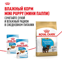 Royal Canin (Роял Канин) Корм сухой для щенков породы Йоркширский терьер паппи 1,5 кг