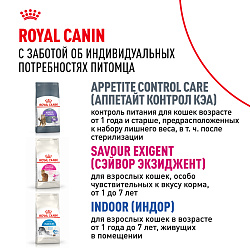 Royal Canin (Роял Канин) Сенсибл 33 Корм сухой для кошек с чувствительным пищеварением 2 кг