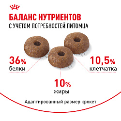 Royal Canin (Роял Канин) Light Weight Care Корм сухой для кошек для профилактики лишнего веса 400 г