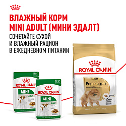 Royal Canin (Роял Канин) Корм сухой для взрослых собак породы померанский шпиц 1,5 кг