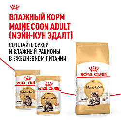 Royal Canin (Роял Канин) Корм сухой для взрослых кошек породы Мэйн Кун 2 кг