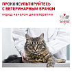 Royal Canin (Роял Канин) Urinary S/O LP 34 Feline Корм сухой диетический для взрослых кошек при мочекаменной болезни 0,4 кг