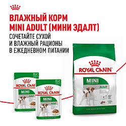 Royal Canin (Роял Канин) Мини Эдалт Корм сухой для собак мелких размеров от 10 месяцев, 2 кг