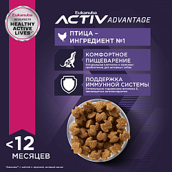 Eukanuba Паппи Смол Брид д/щенков мелких пород 800 г