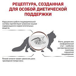 Royal Canin (Роял Канин) Gastrointestinal Корм сухой диетический для взрослых кошек при расстройствах пищеварения, 2 кг