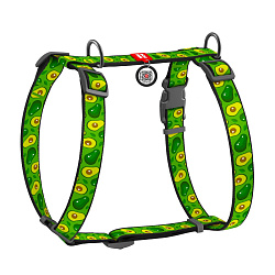 Шлея WAUDOG Nylon с QR-паспортом "Авокадо", пл. фастекс, S, Ш 15 мм, A 30-40, B 30-50 5612