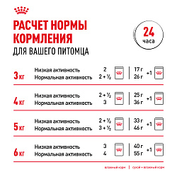 Royal Canin (Роял Канин) Индор стерилайзд корм влажный для домашних кошек в соусе 85 г