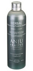 Anju Beaute Шампунь Травяной: маракуйя и экстракт панамской коры 250 мл 50328