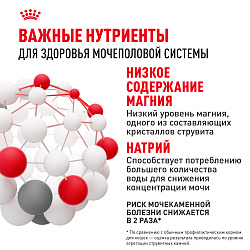 Royal Canin (Роял Канин) Urinary Care Корм сухой для кошек для мочевыделительной системы 400 г