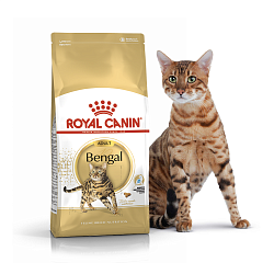 Royal Canin (Роял Канин) Бенгальская 2 кг