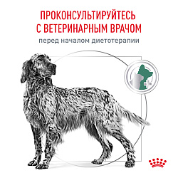 Royal Canin (Роял Канин) Сэтайети вейт менеджмент Корм сухой для собак для снижения веса 1,5 кг