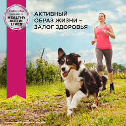 Корм для собак Eukanuba Adult All Breed влажный рацион с ягнёнком в соусе, 100г