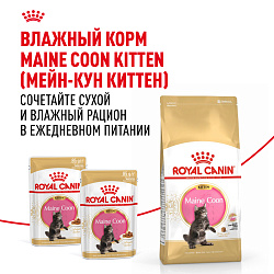 Royal Canin (Роял Канин) Киттен корм сухой для котят породы Мэйн кун 400 г