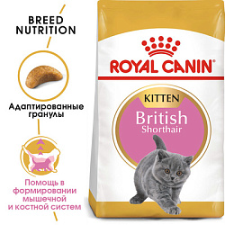 Royal Canin British Shorthair Kitten (Роял Канин) Корм сухой для британских короткошерстных котят (Развесной) 1кг